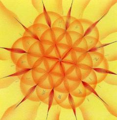 mandala12L