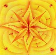 mandala14L