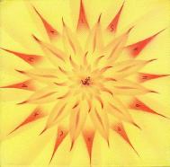 mandala4L